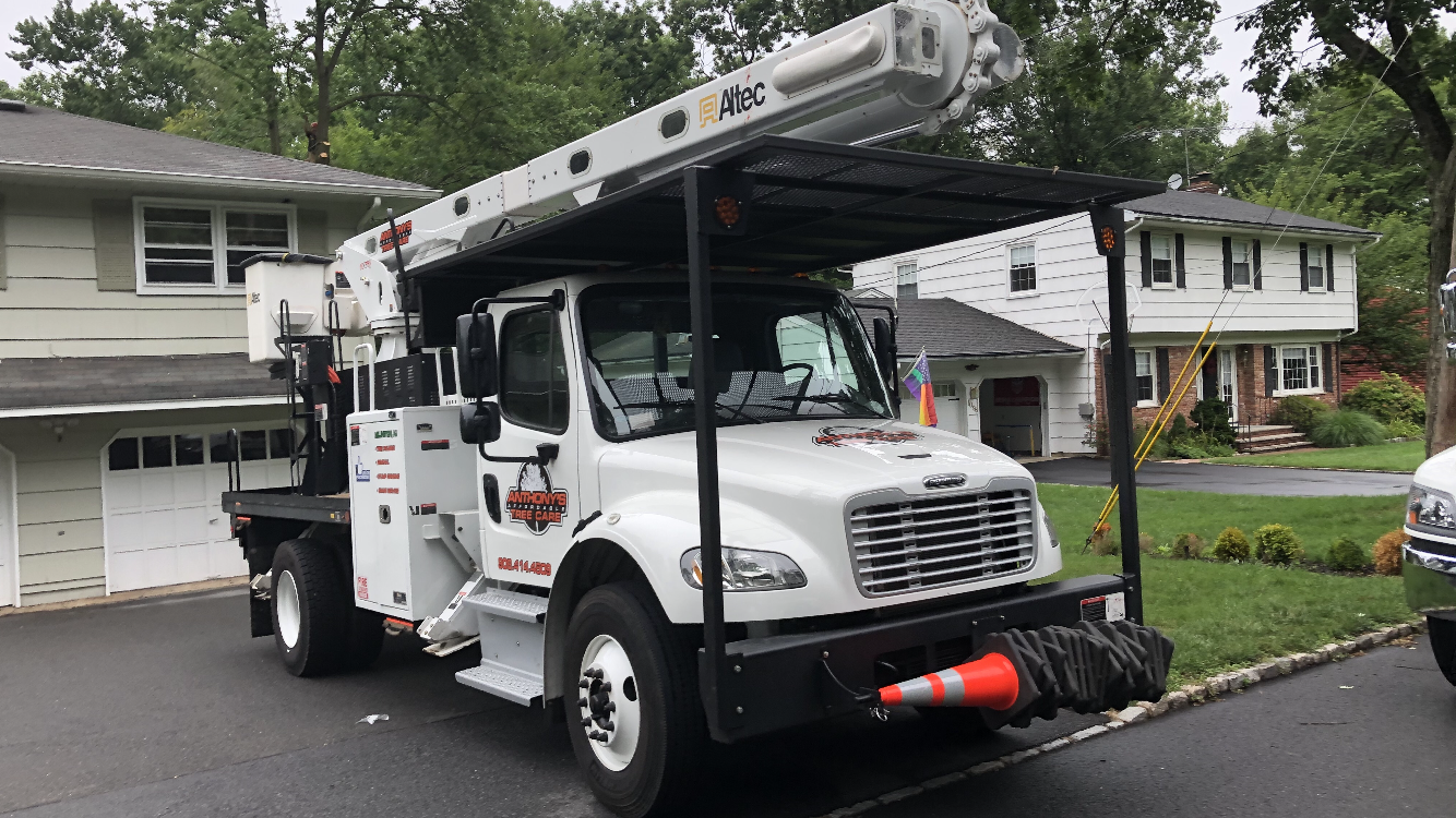 Avatar for Anthony's Affordable Tree Care