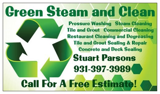 Avatar for Green Steam and Clean