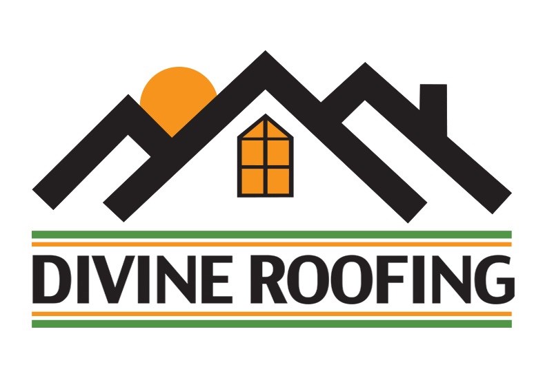 Avatar for Divine Roofing Inc