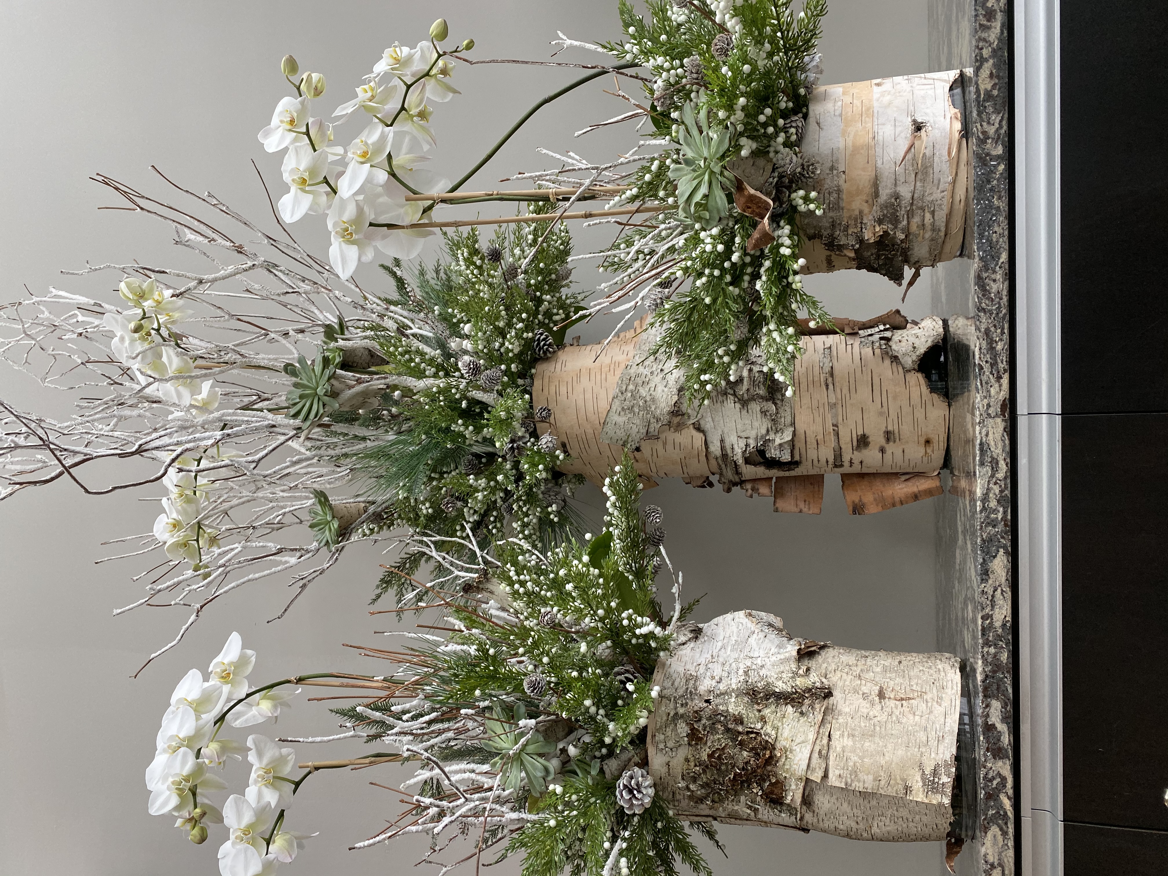 Avatar for Island Botanical 