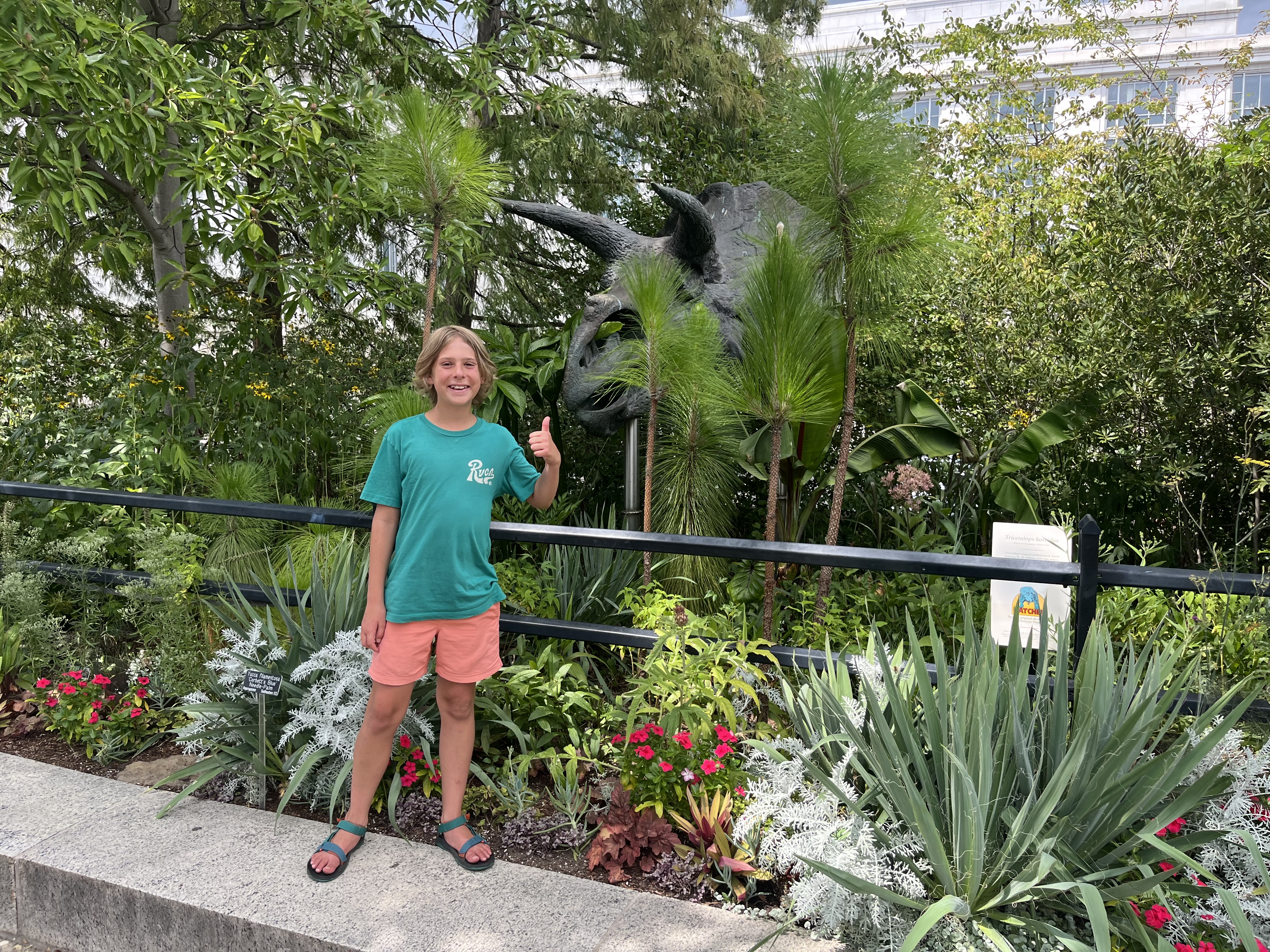 Avatar for Garden Snake