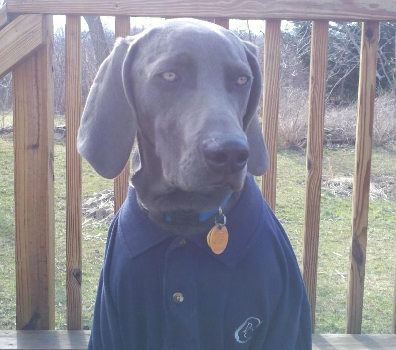 Custom Pest Control Reviews Dundee, NY Angi