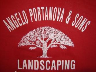 Vito Portanova Landscaping logo