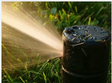 Avatar for Sprinkler One