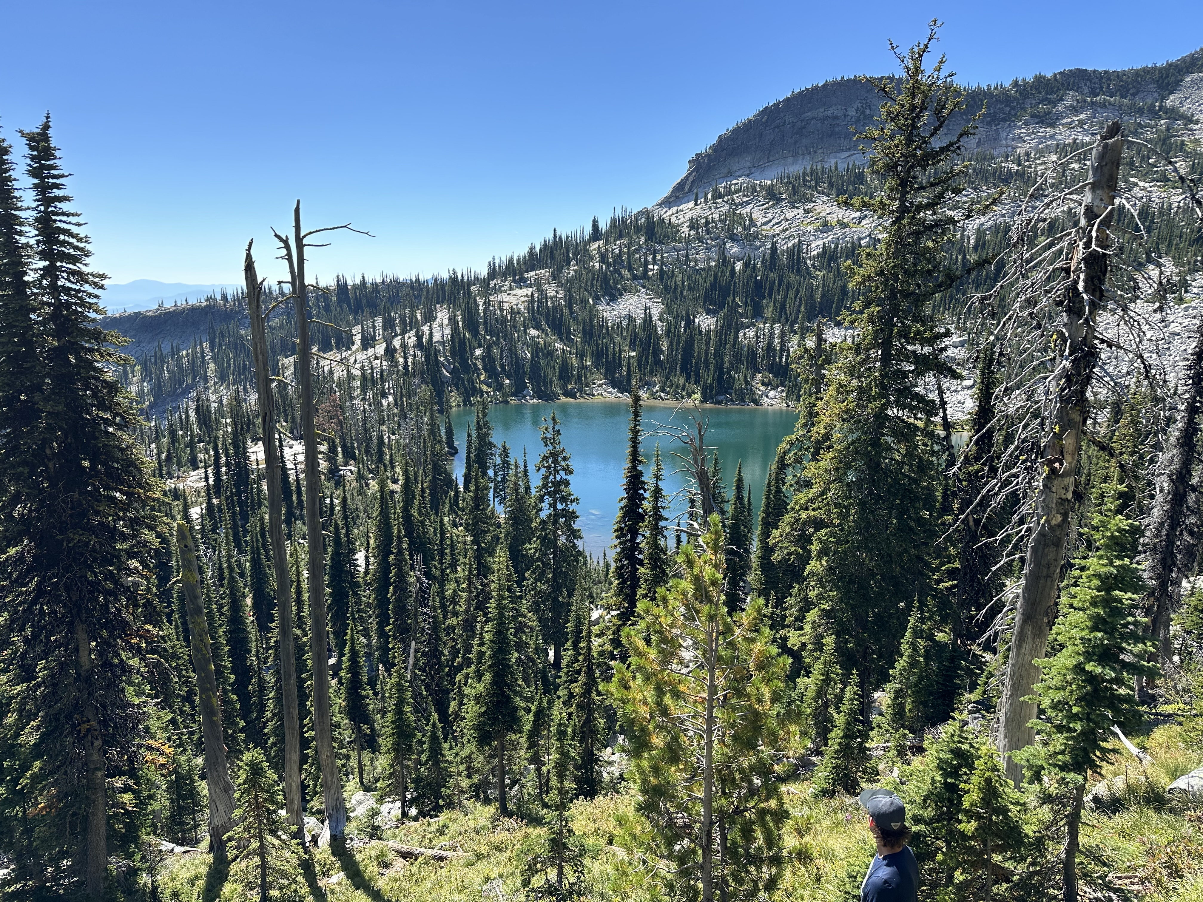 Avatar for Early Dawn Development