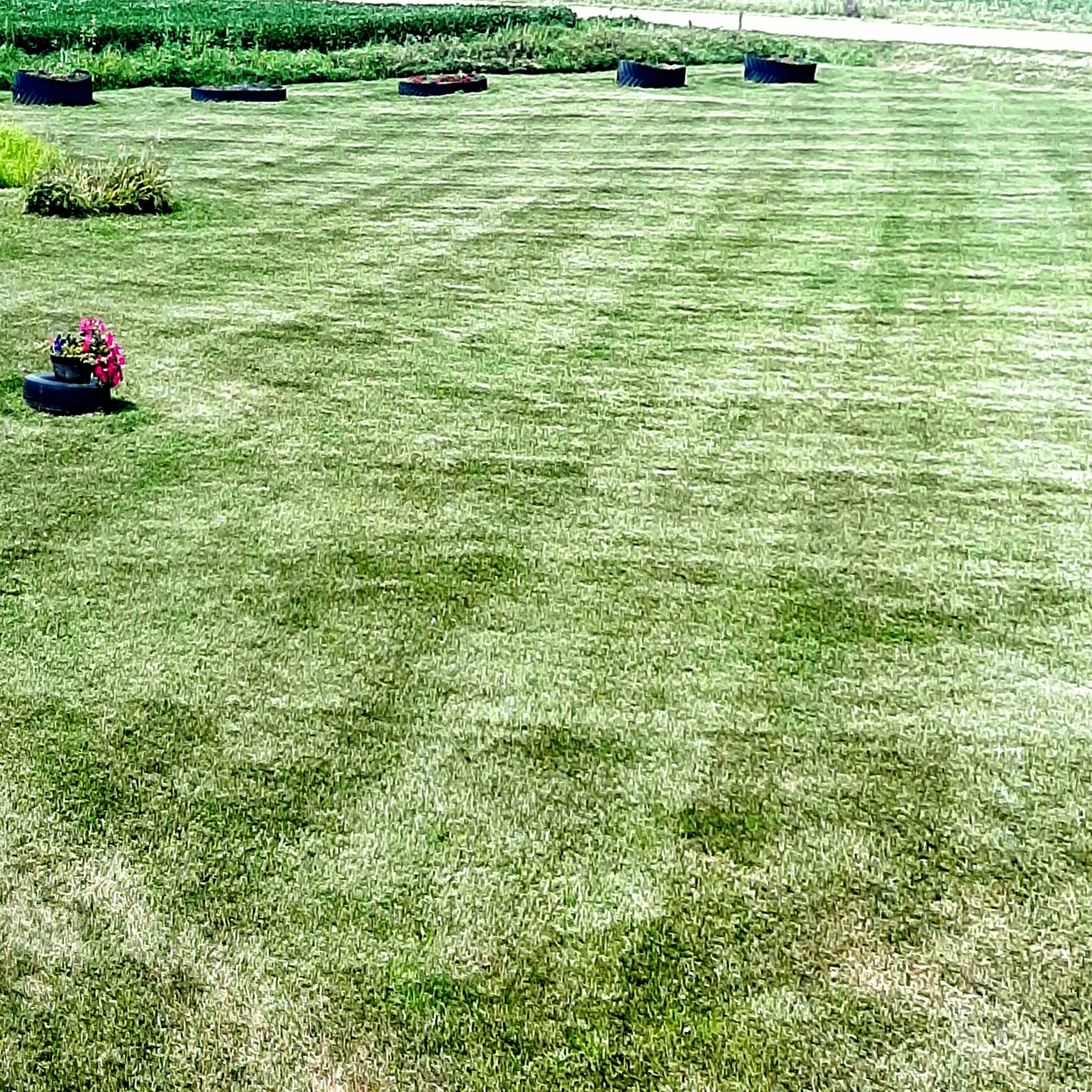 Avatar for The Yard Barber