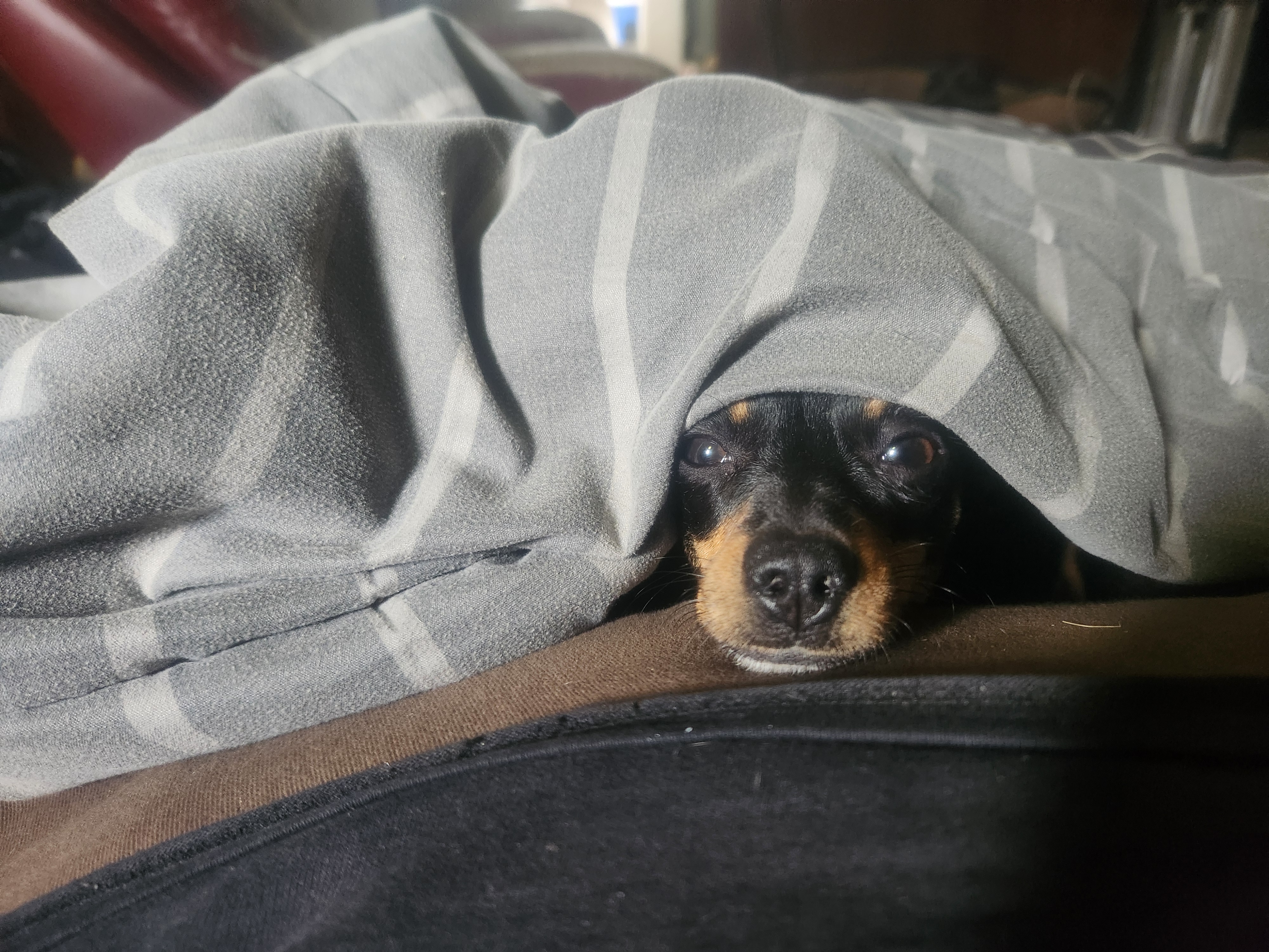 Avatar for Heath Tatum