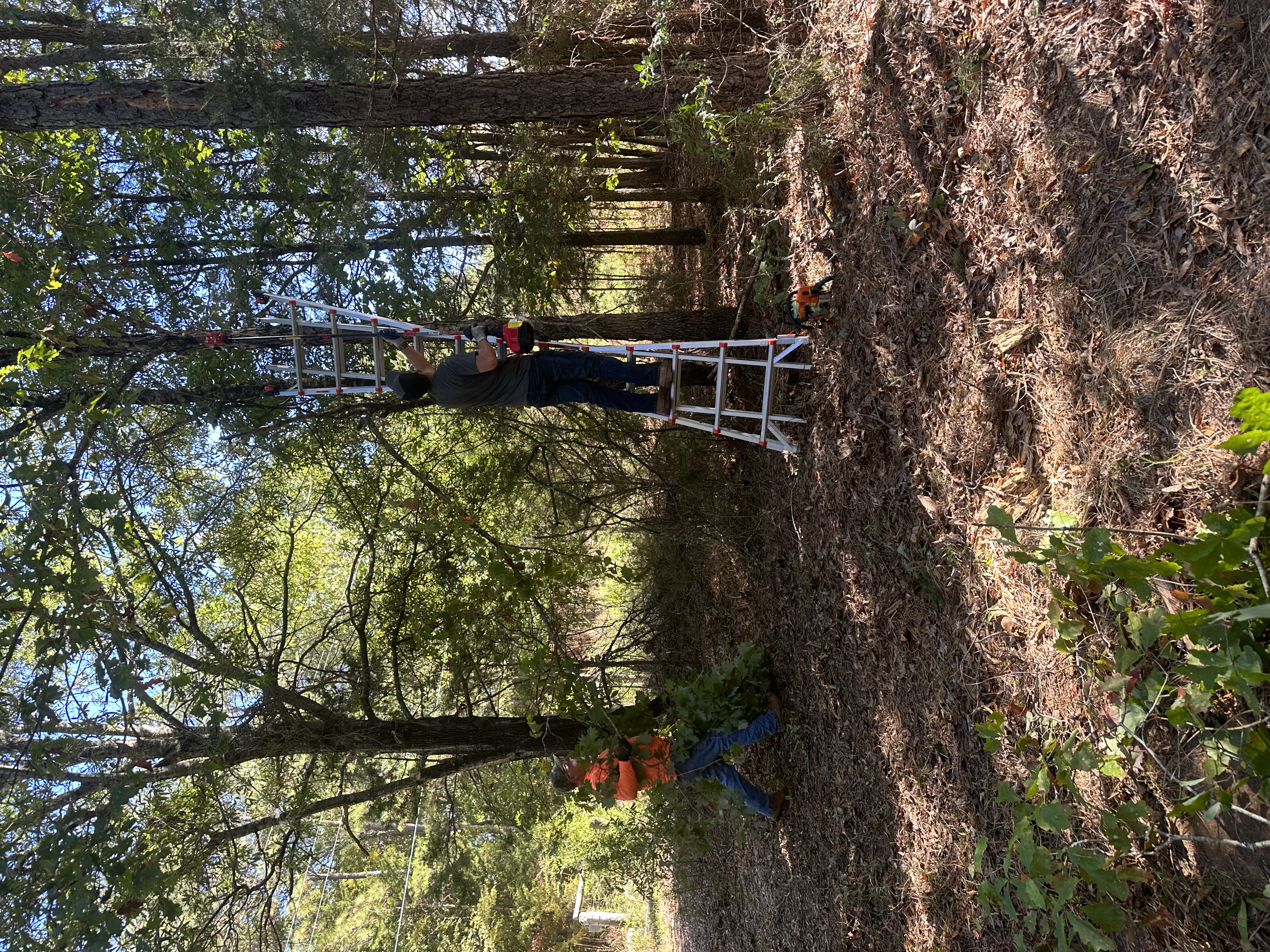 Avatar for Scott Calicutt