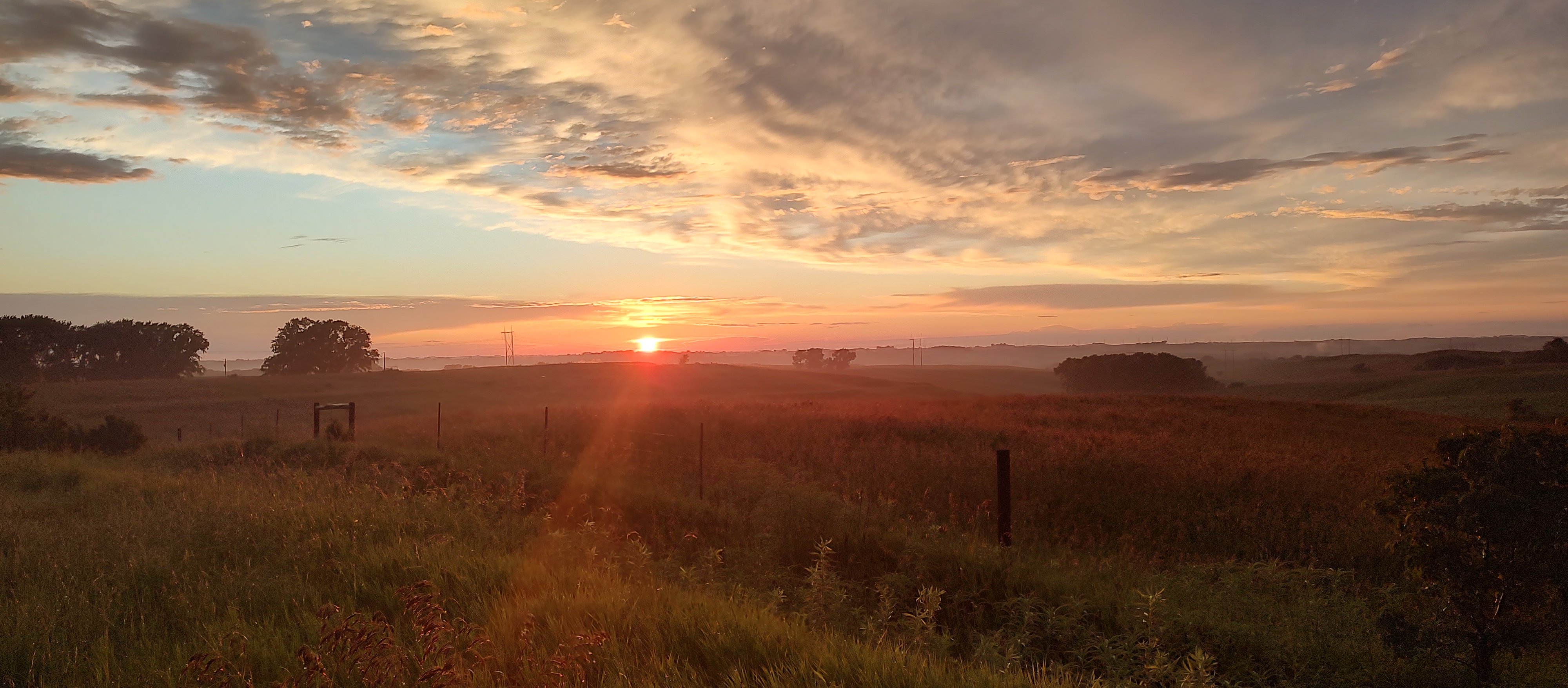 Avatar for Sunshine Cleaning