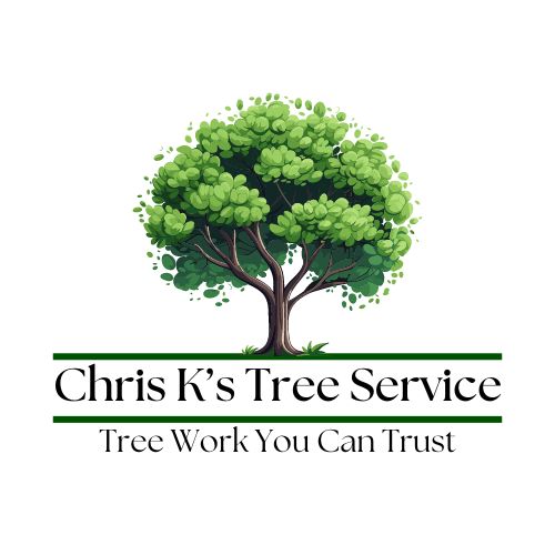 Avatar for Chris K's Tree Service