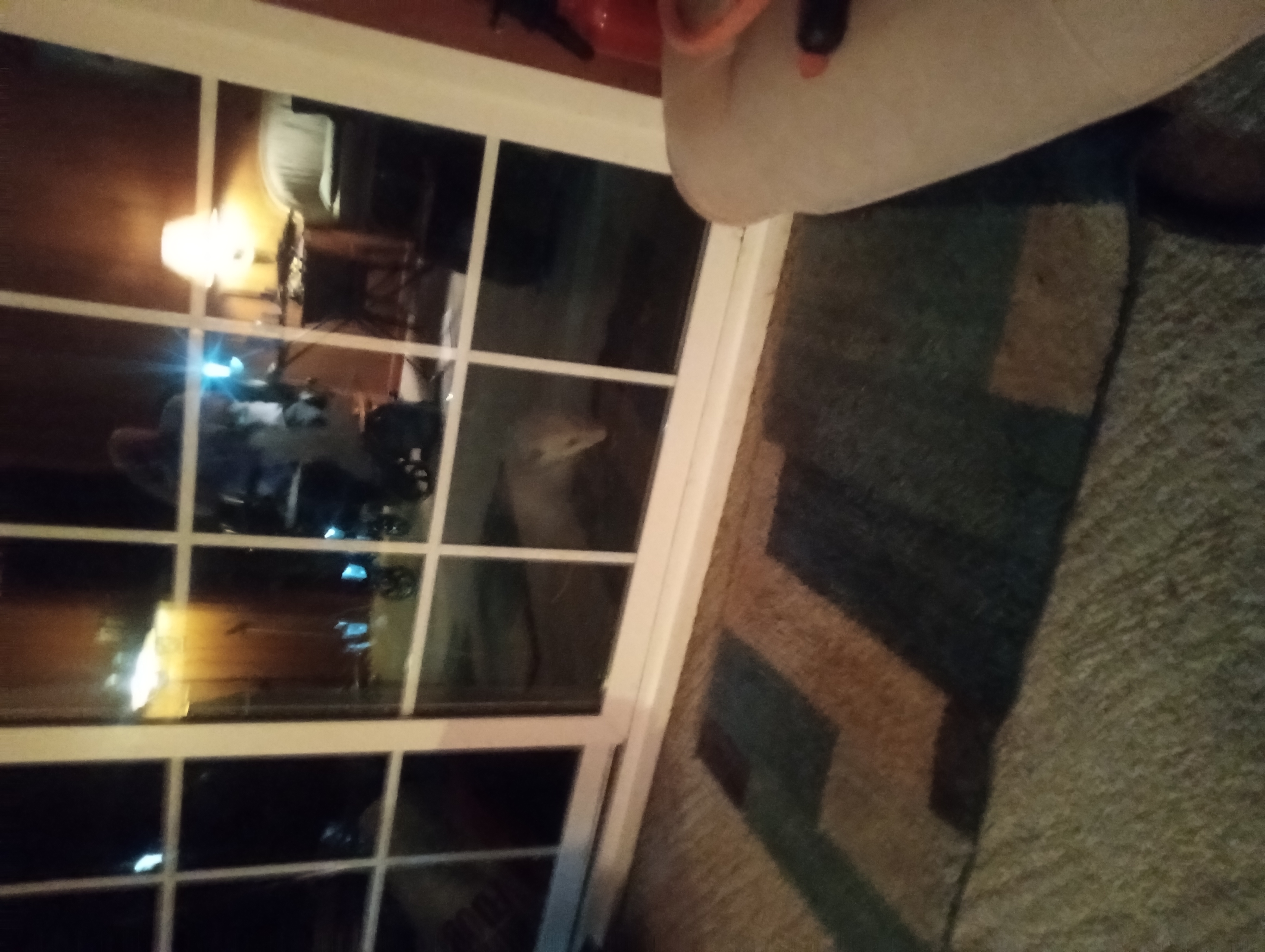 Avatar for StephenSwift