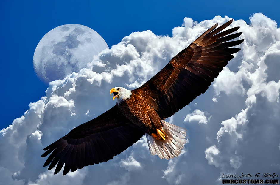 Avatar for Don's window cleaners