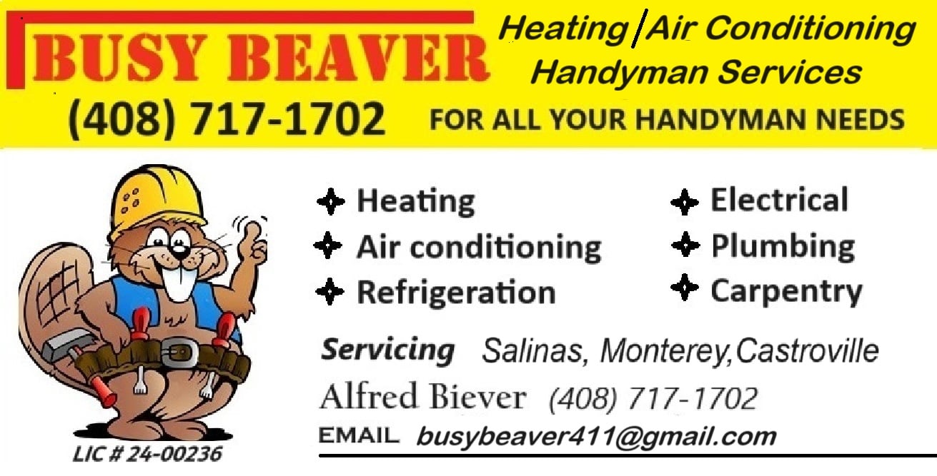 Avatar for busy beaver