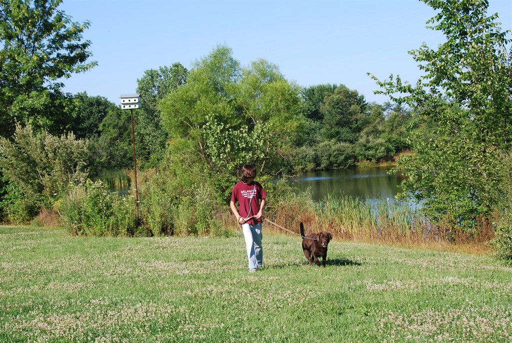 Nature Walk
