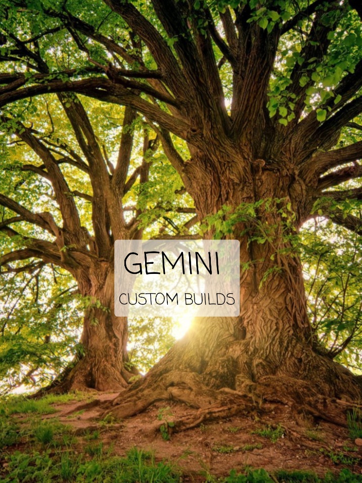Avatar for GEMINI CUSTOM BUILDS LLC