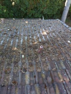 Roof before