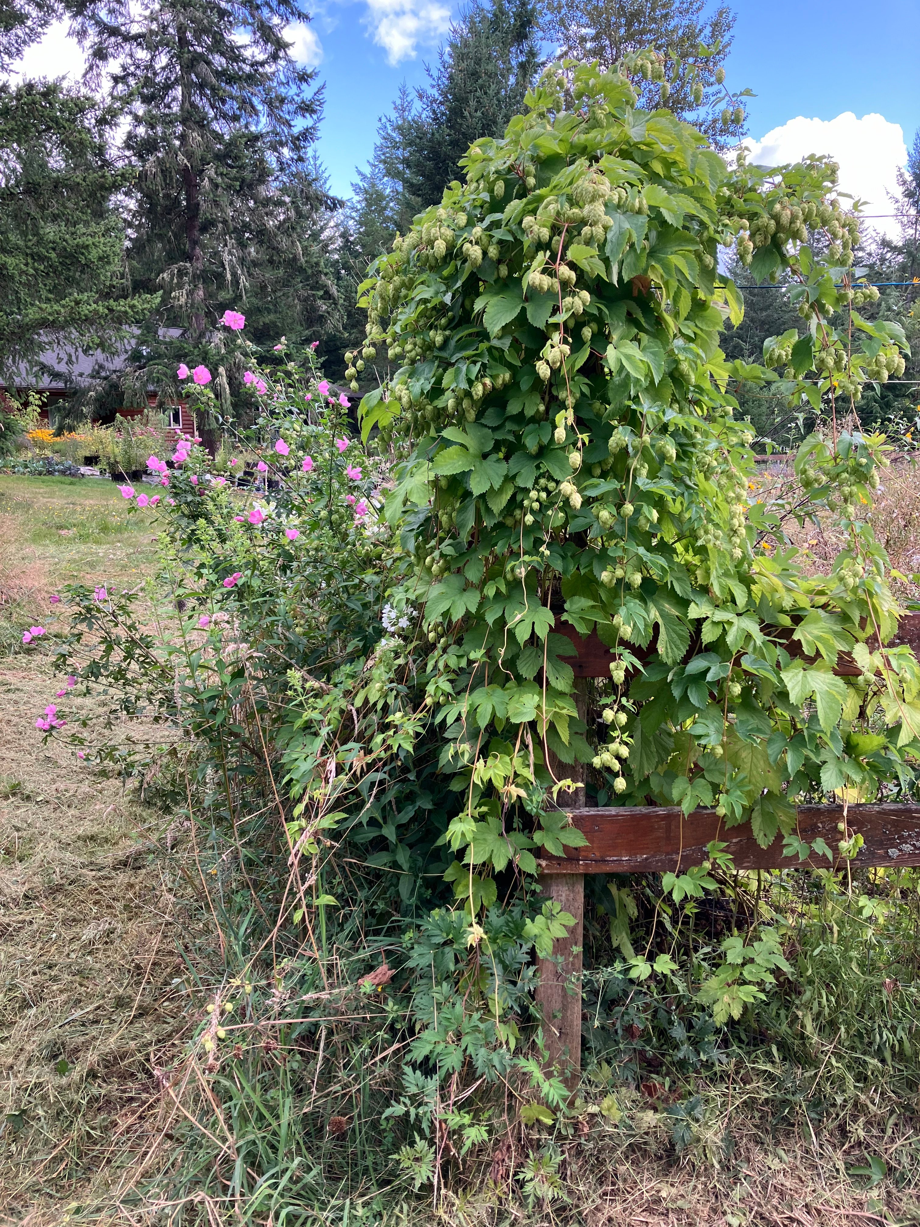 Avatar for WW Property Services 