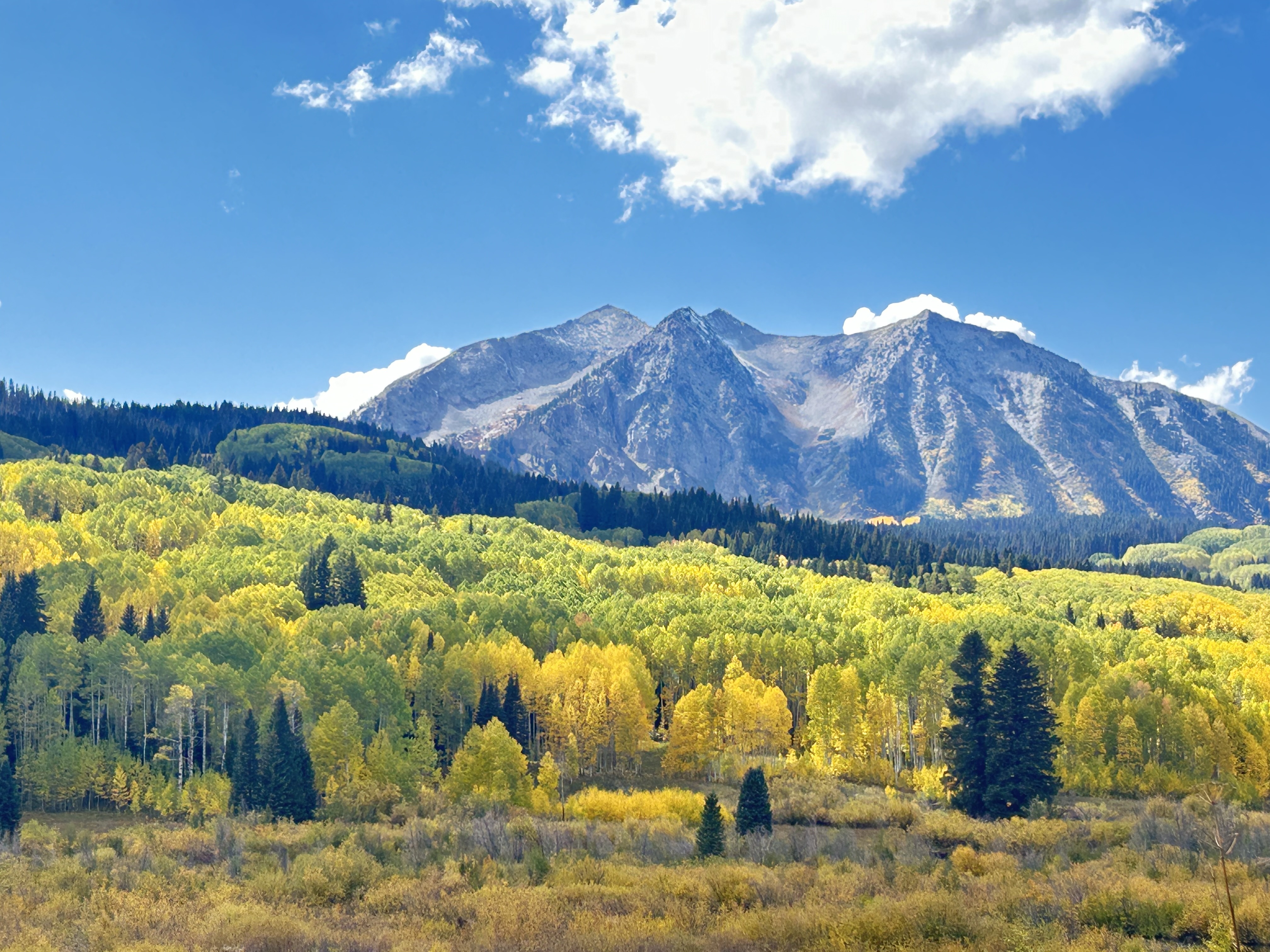 Avatar for Angelina’s cleaning