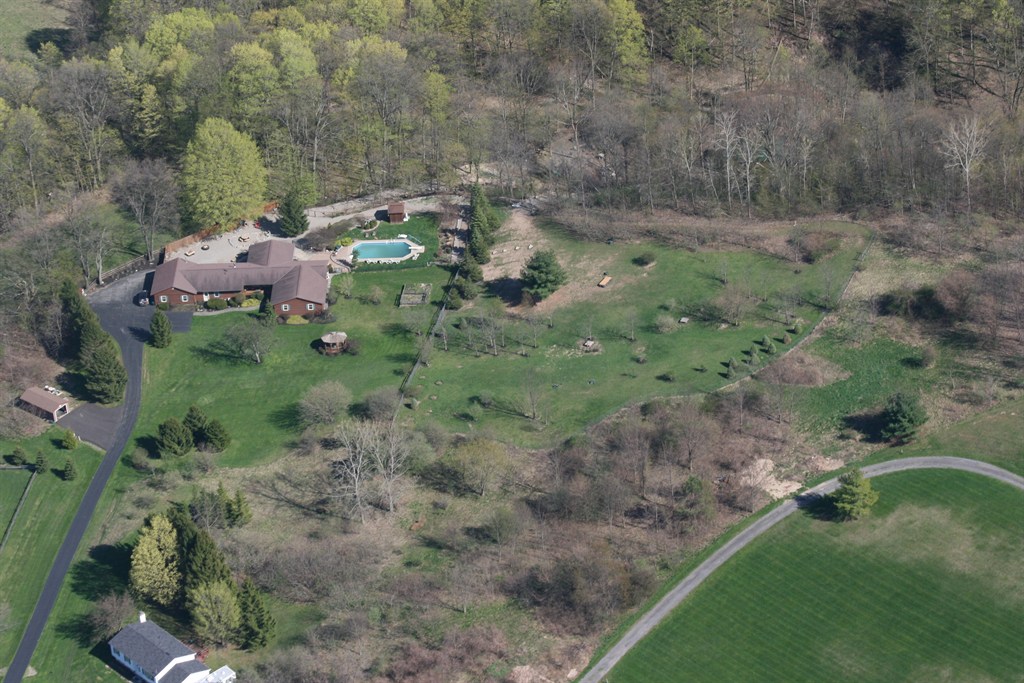 The Critter Pad