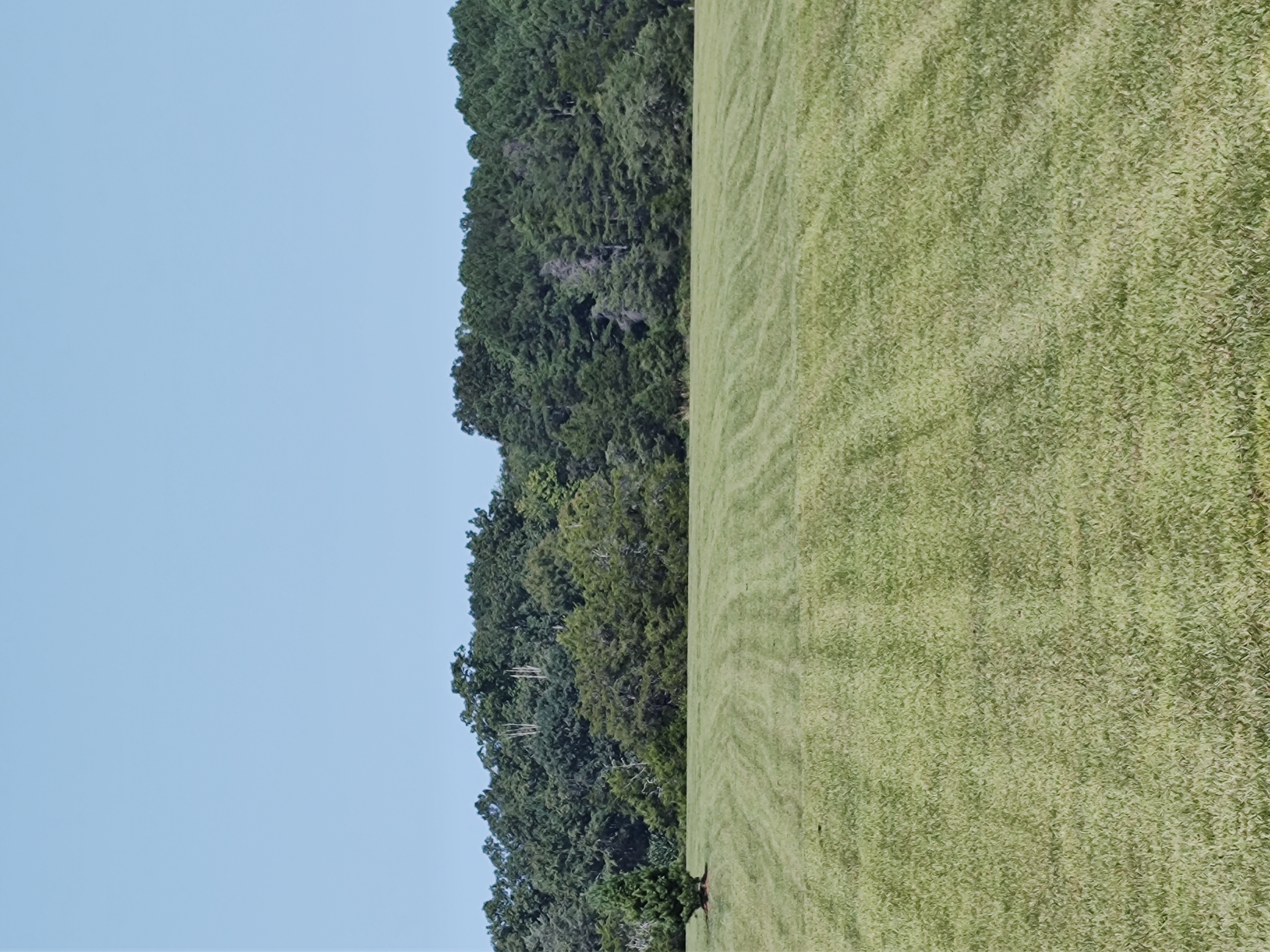 Avatar for Paul's lawn care