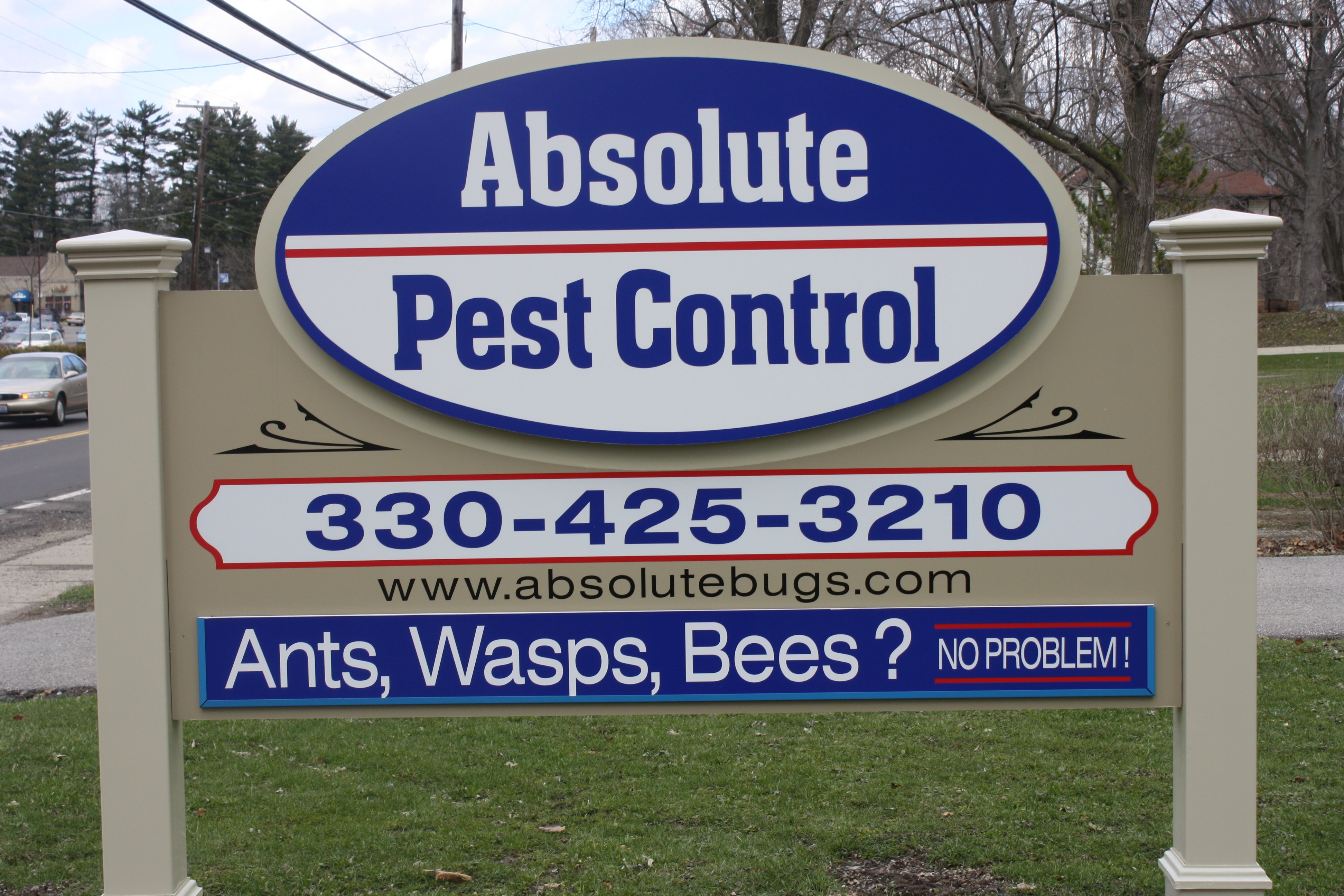 Avatar for ABSOLUTE PEST CONTROL