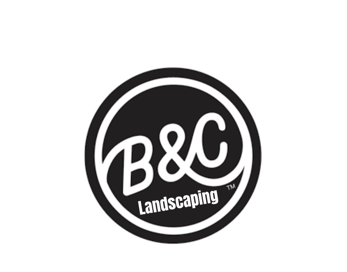 Avatar for B&C LANDSCAPING LLC