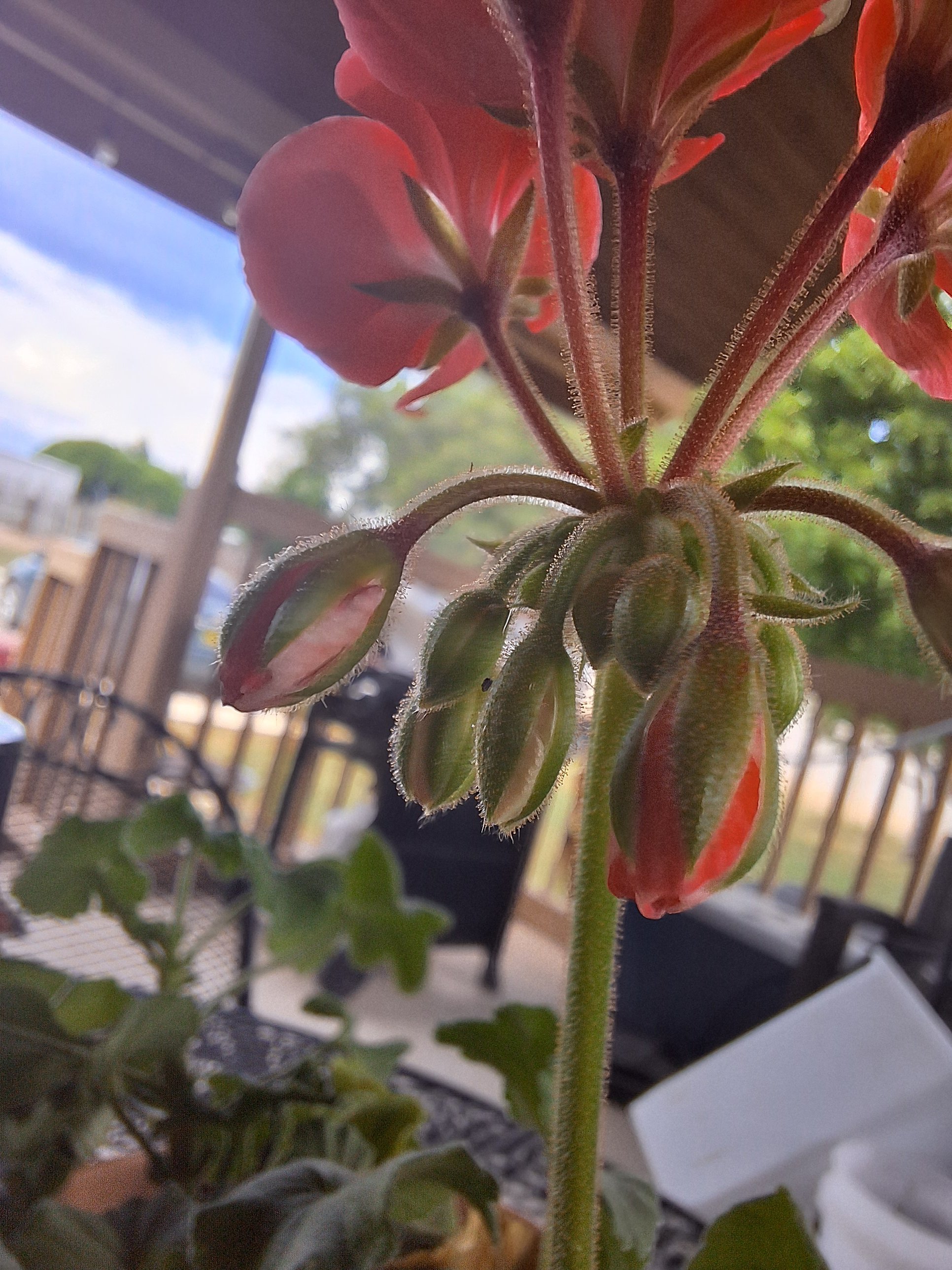 Avatar for Jareds landscaping