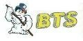 Bestul Trucking Service logo