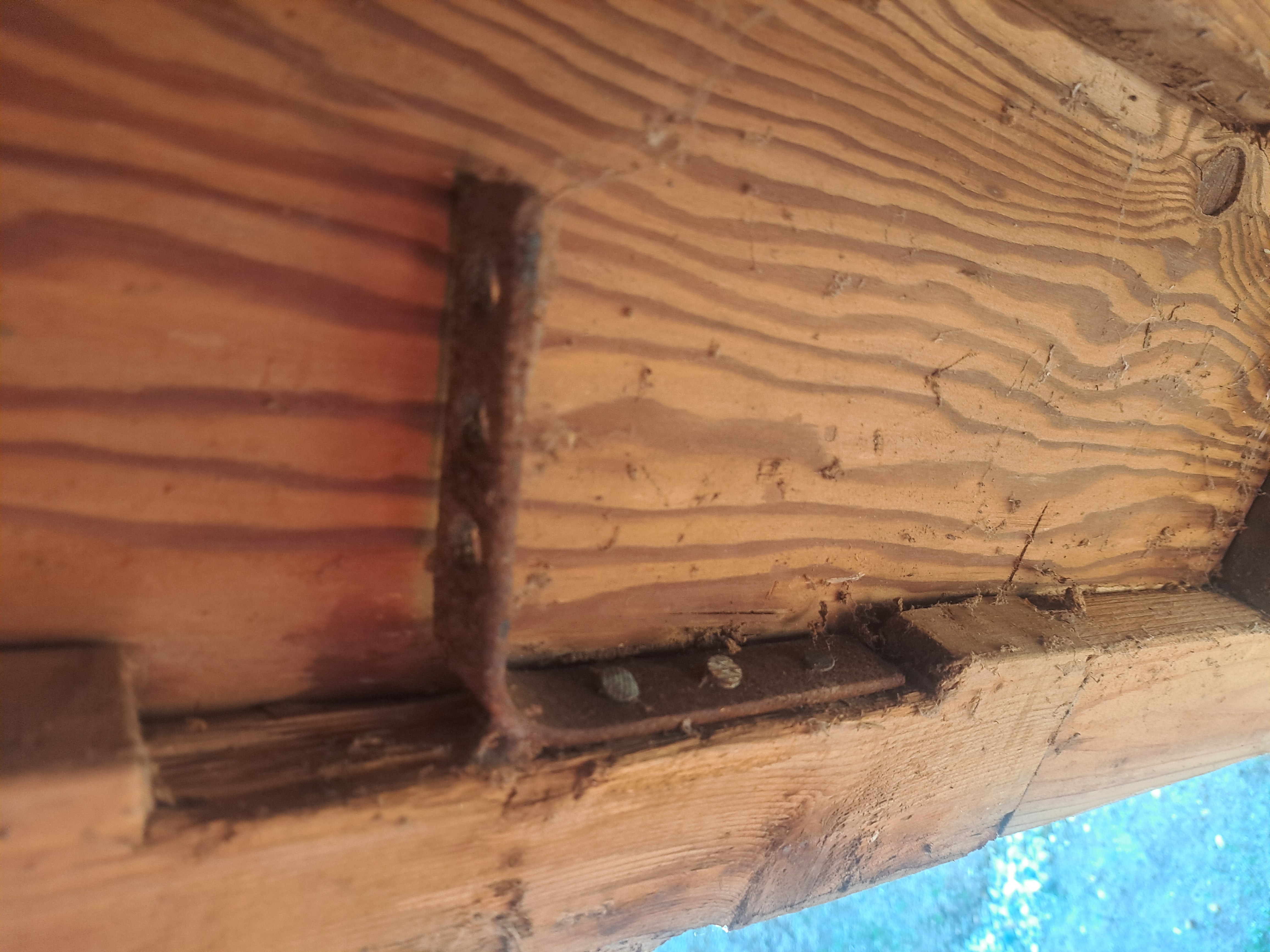 Avatar for Rt handyman services