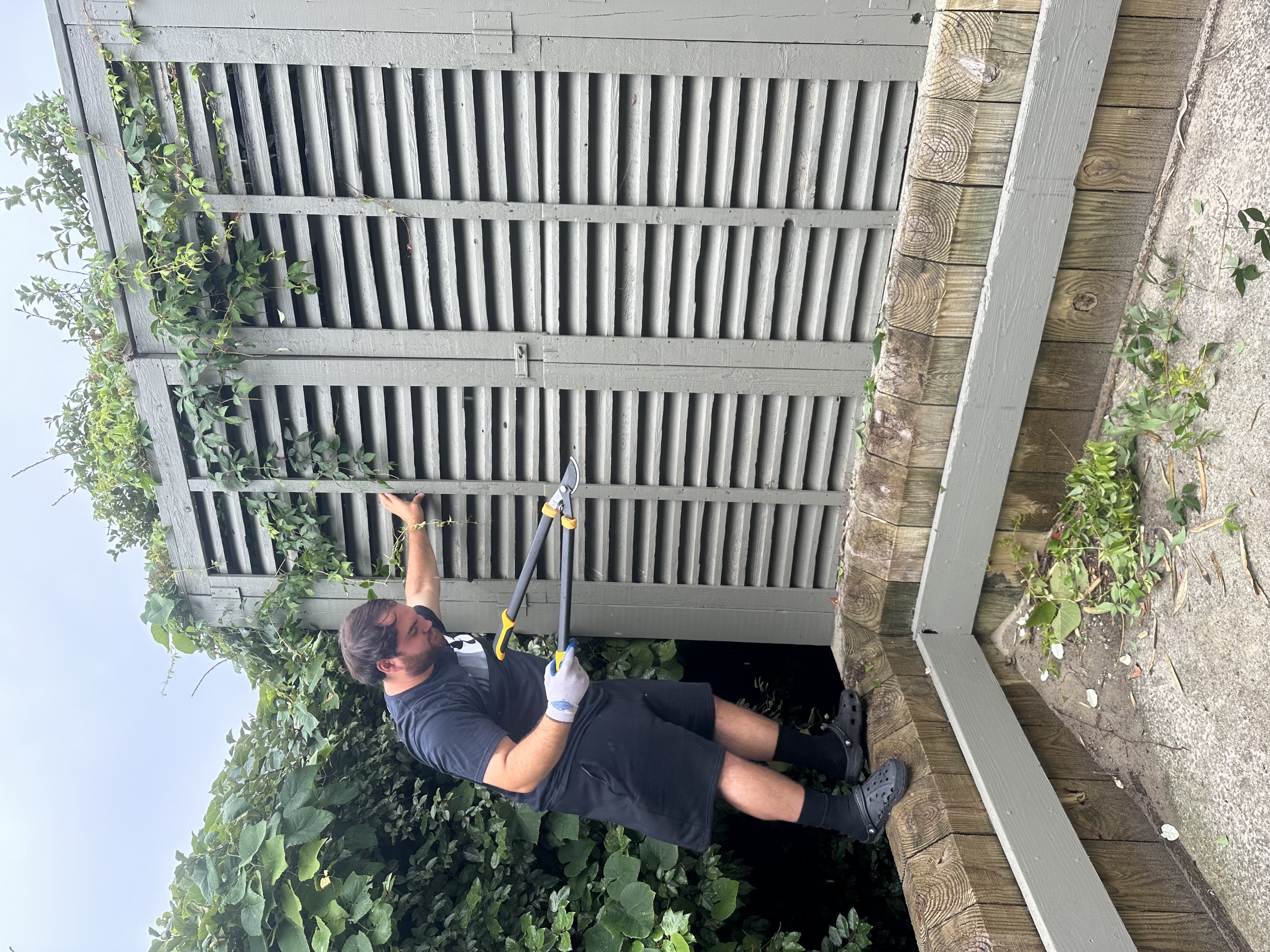 Avatar for Torres construction