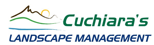 Avatar for Cuchiara's Landscape Management