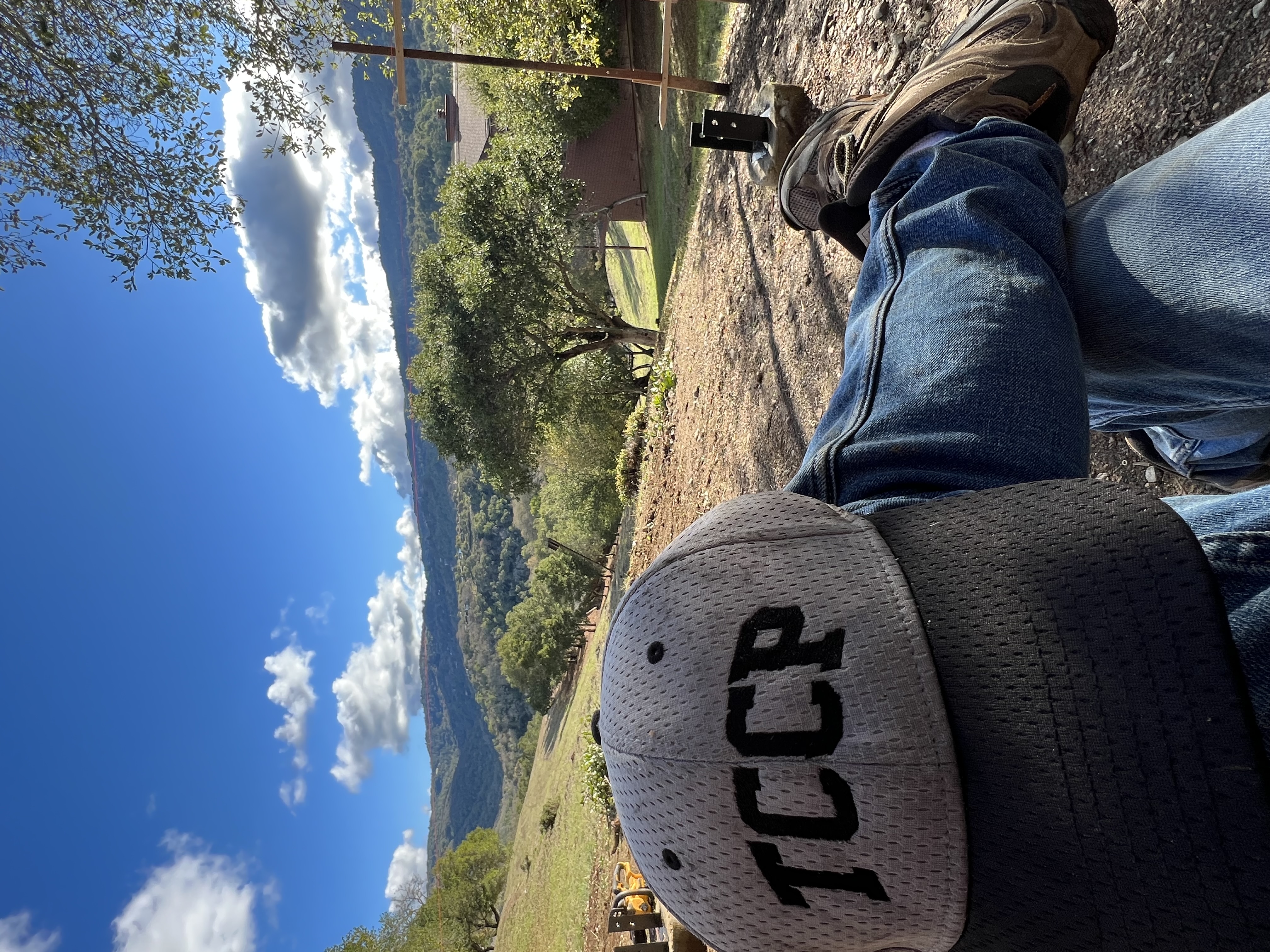 Avatar for Trimble Construction & Custom Painting