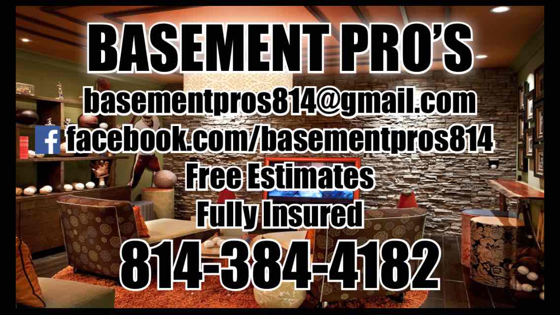 Basement Pro's logo