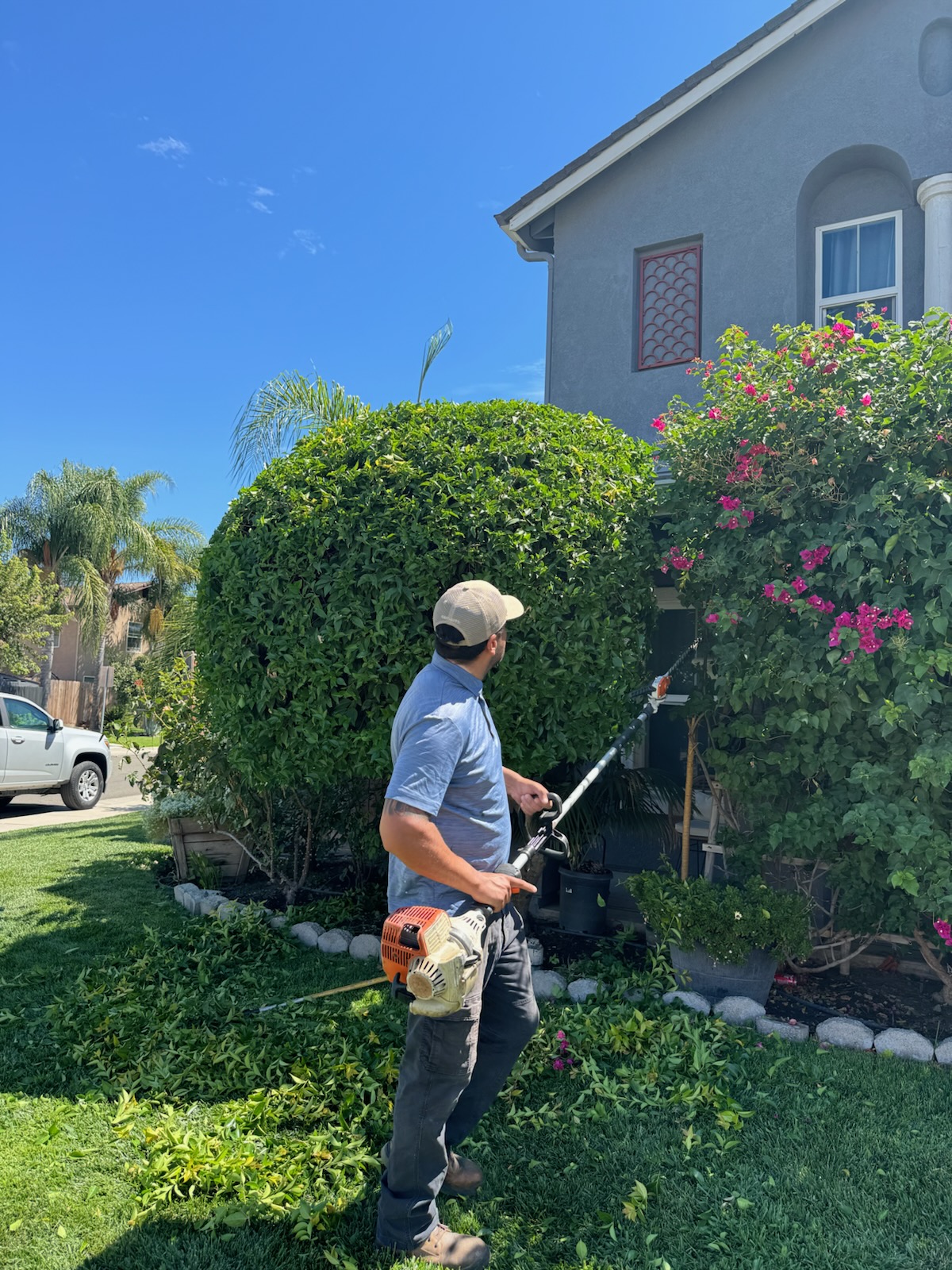 Avatar for Gamino landscaping