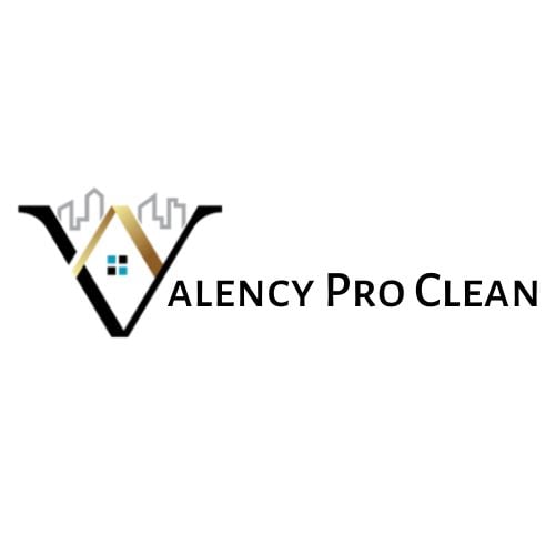 Avatar for Valency Pro Clean