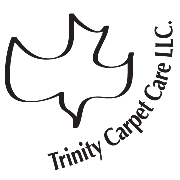 Avatar for Beyond Steam Carpet Cleaning