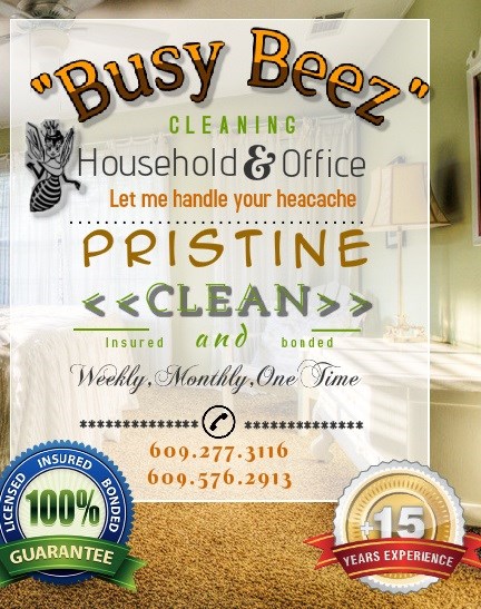 Busy Beez Cleaning logo