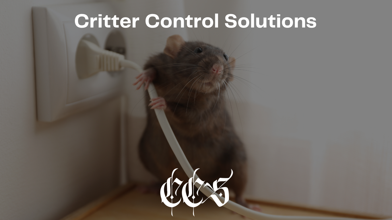 Avatar for Critter Control Services