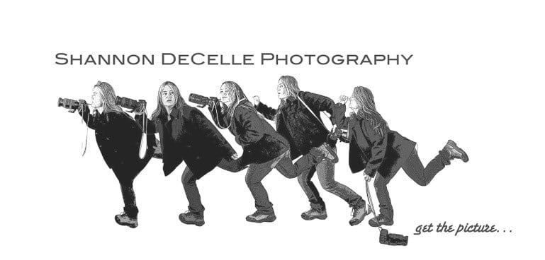 Logo for Shannon DeCelle Photography