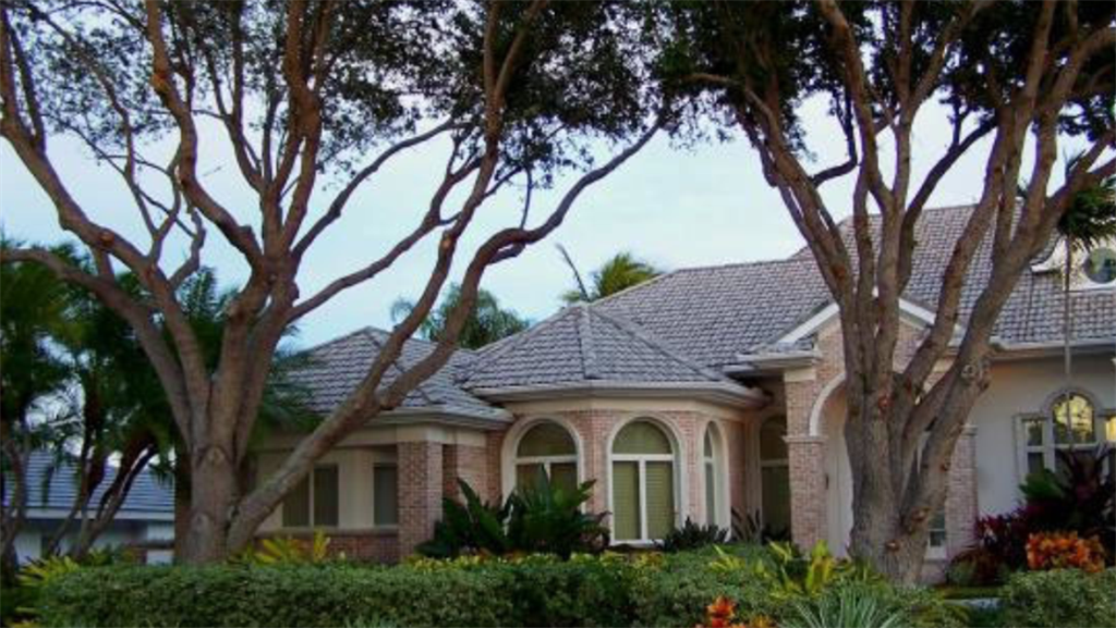 Tree Pruning