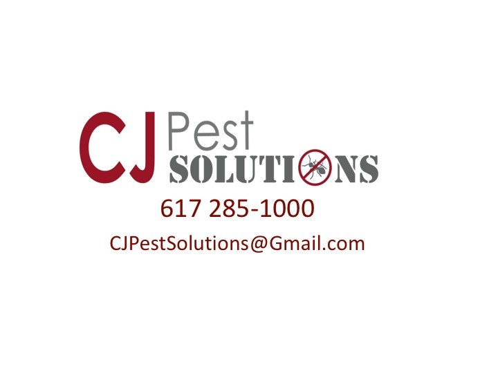 Avatar for CJ Pest Solutions