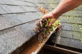 Avatar for Prime 5 Enterprises LLC