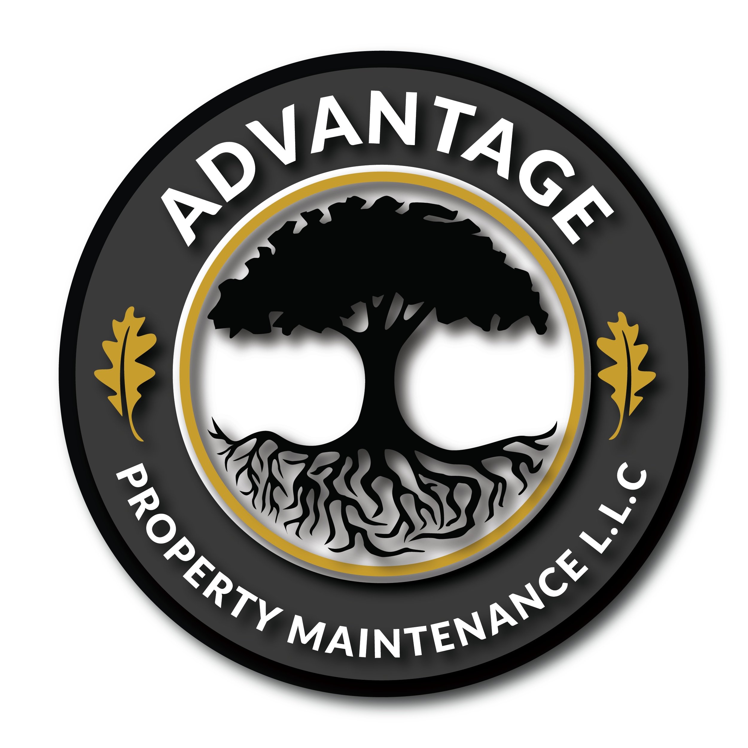 Avatar for Advantage Property Maintenance L.L.C