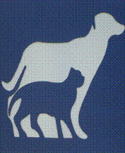 Logo for Flying Cloud Animal Hospital