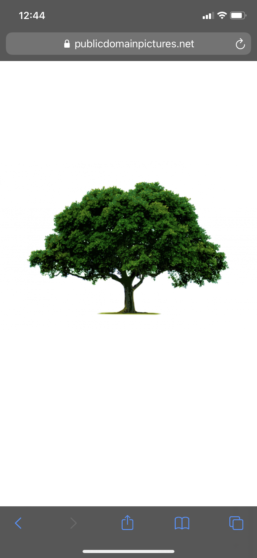 Avatar for Johnstons tree service 