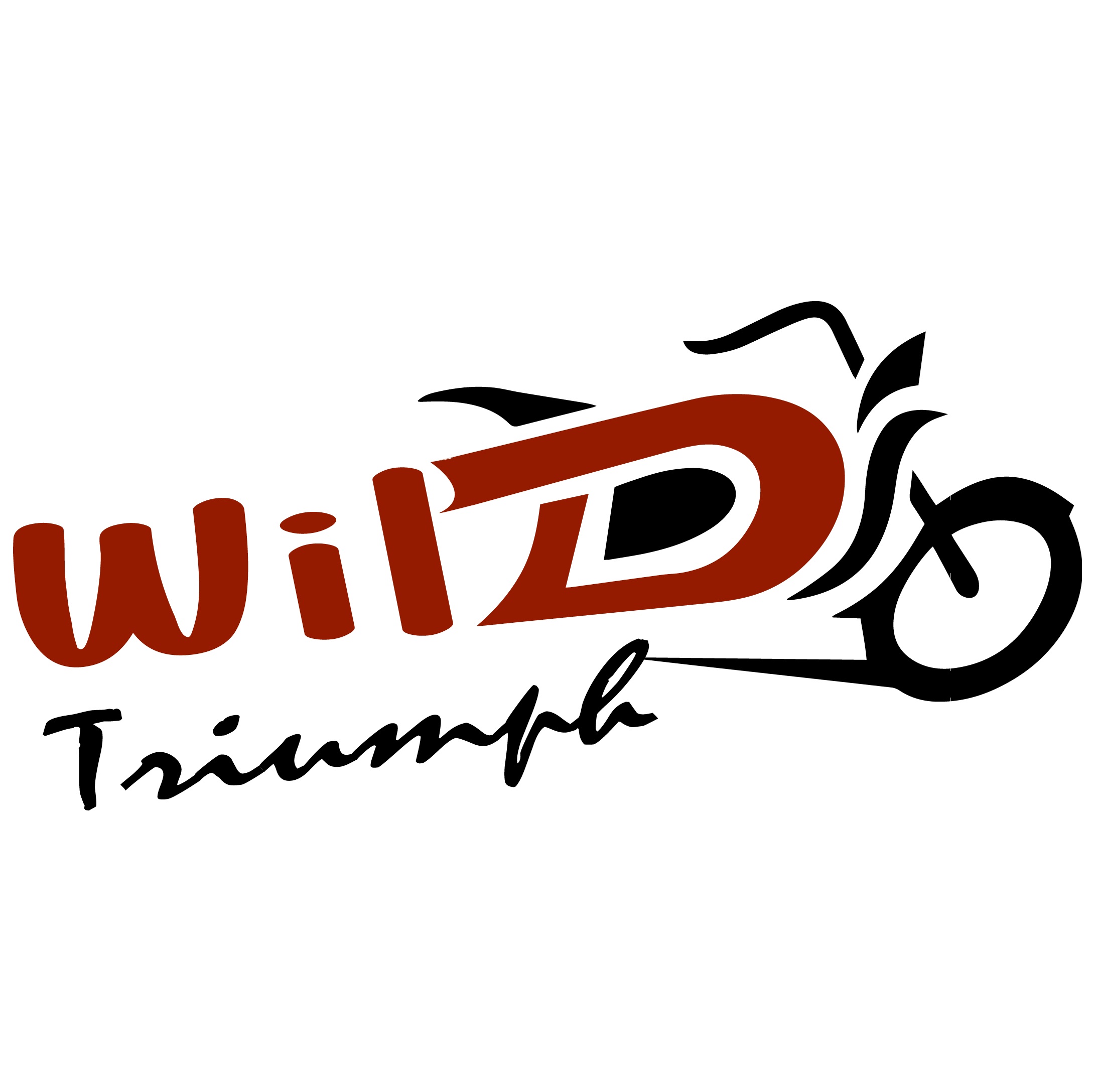 Motorcycle Tours by Wild Triumph logo