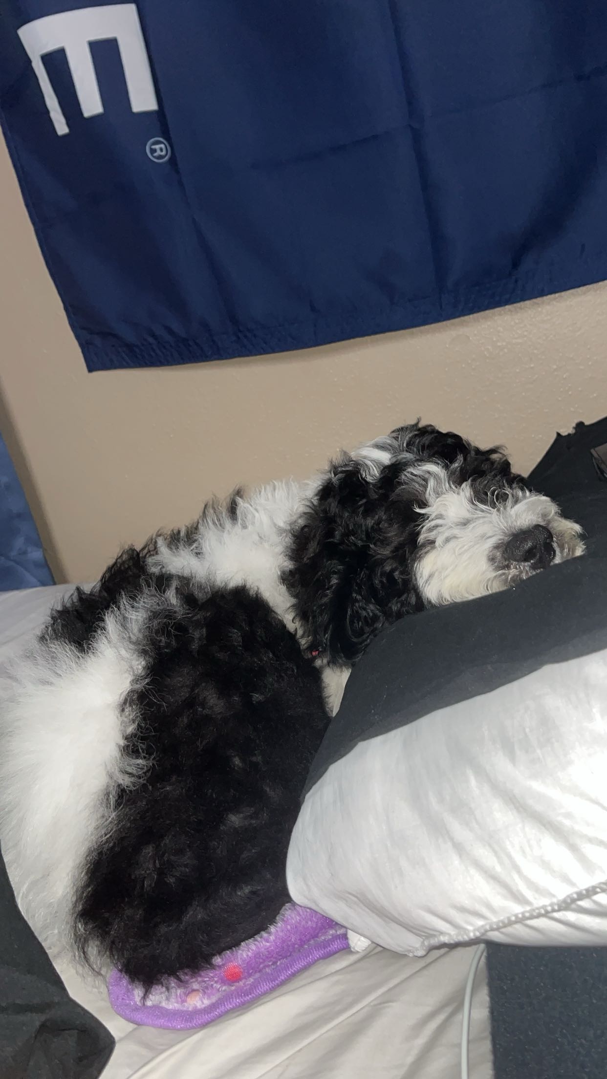 Avatar for Stine Construction LLC