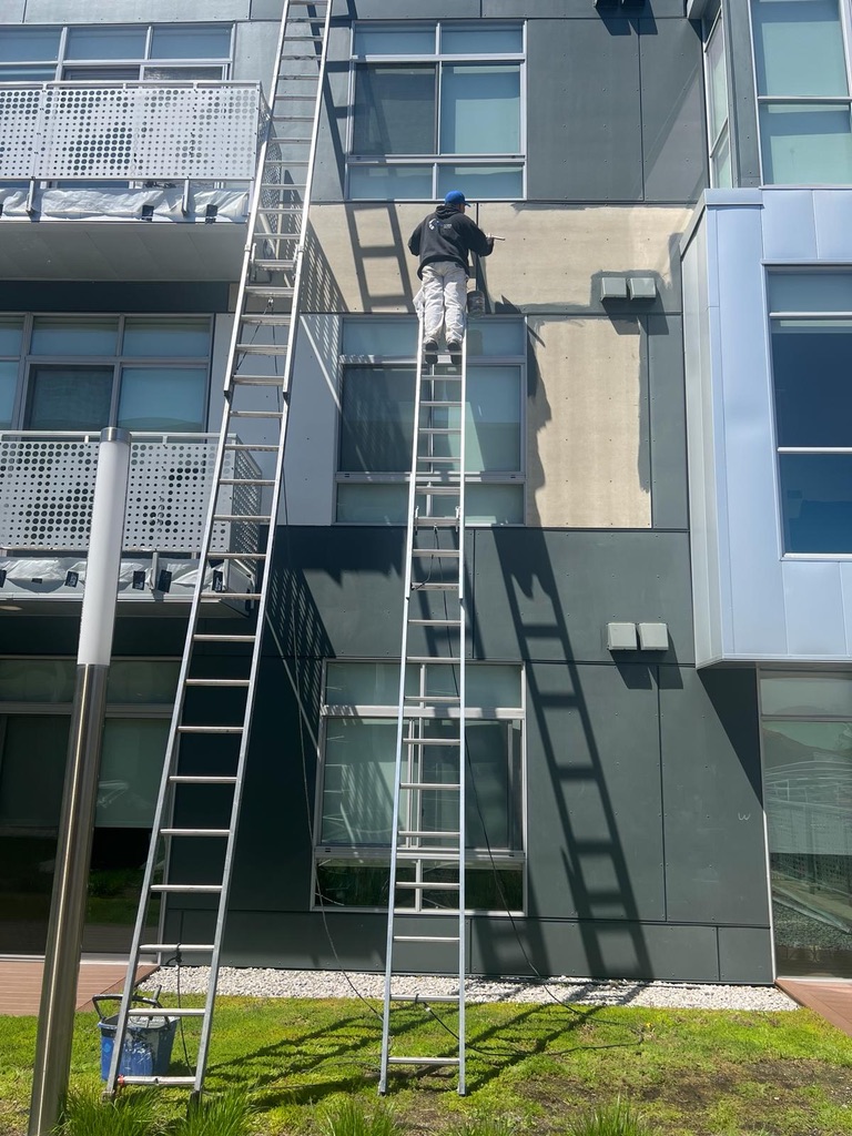 Avatar for Fierce Painting 