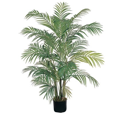 4' Areca silk palm tree