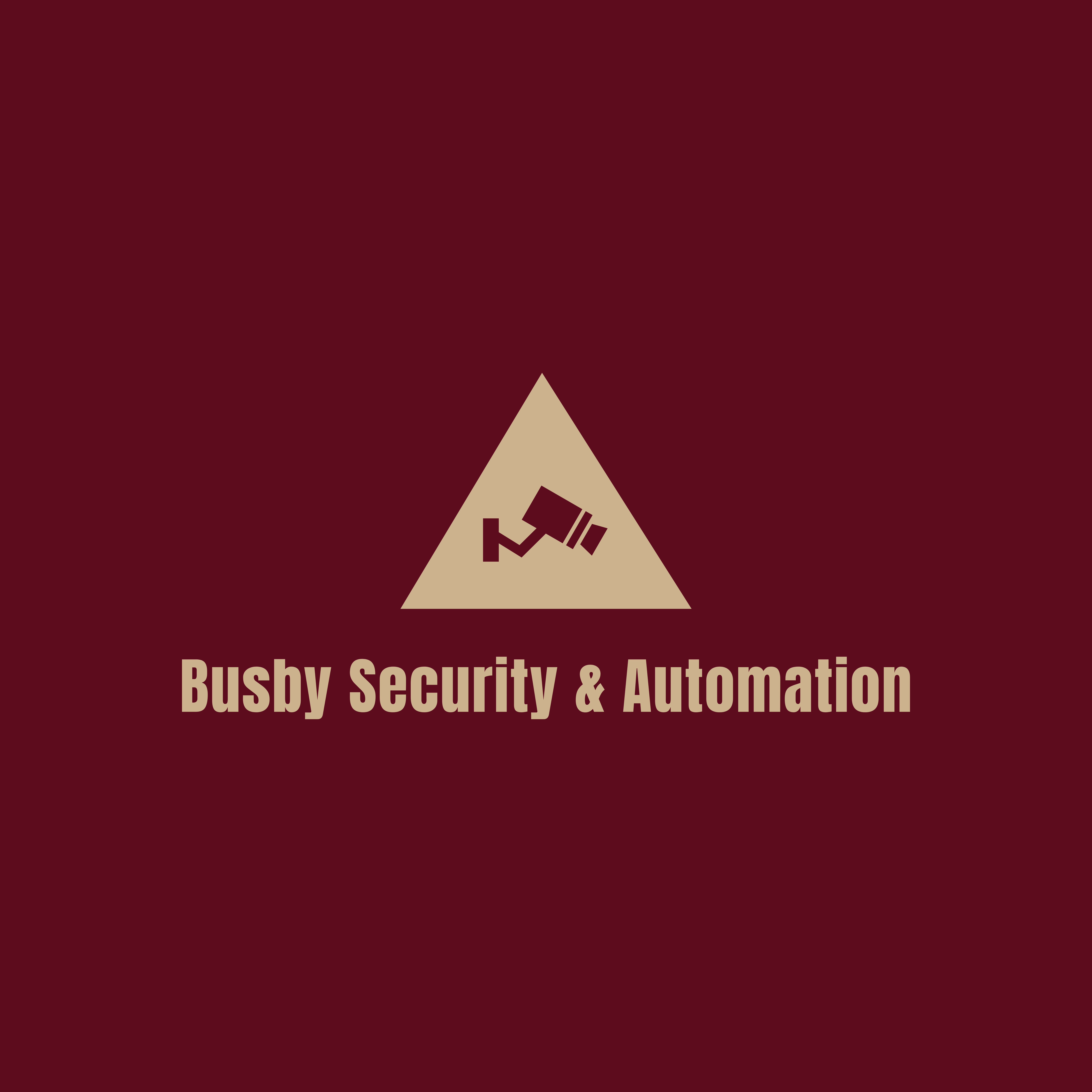 Avatar for Busby Security and Automation
